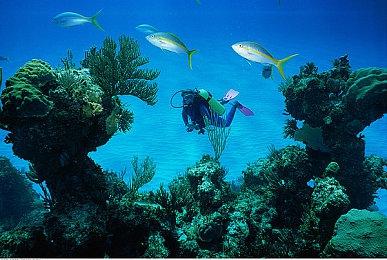 《暗邪西部》30分钟实机公布 11月22日发售